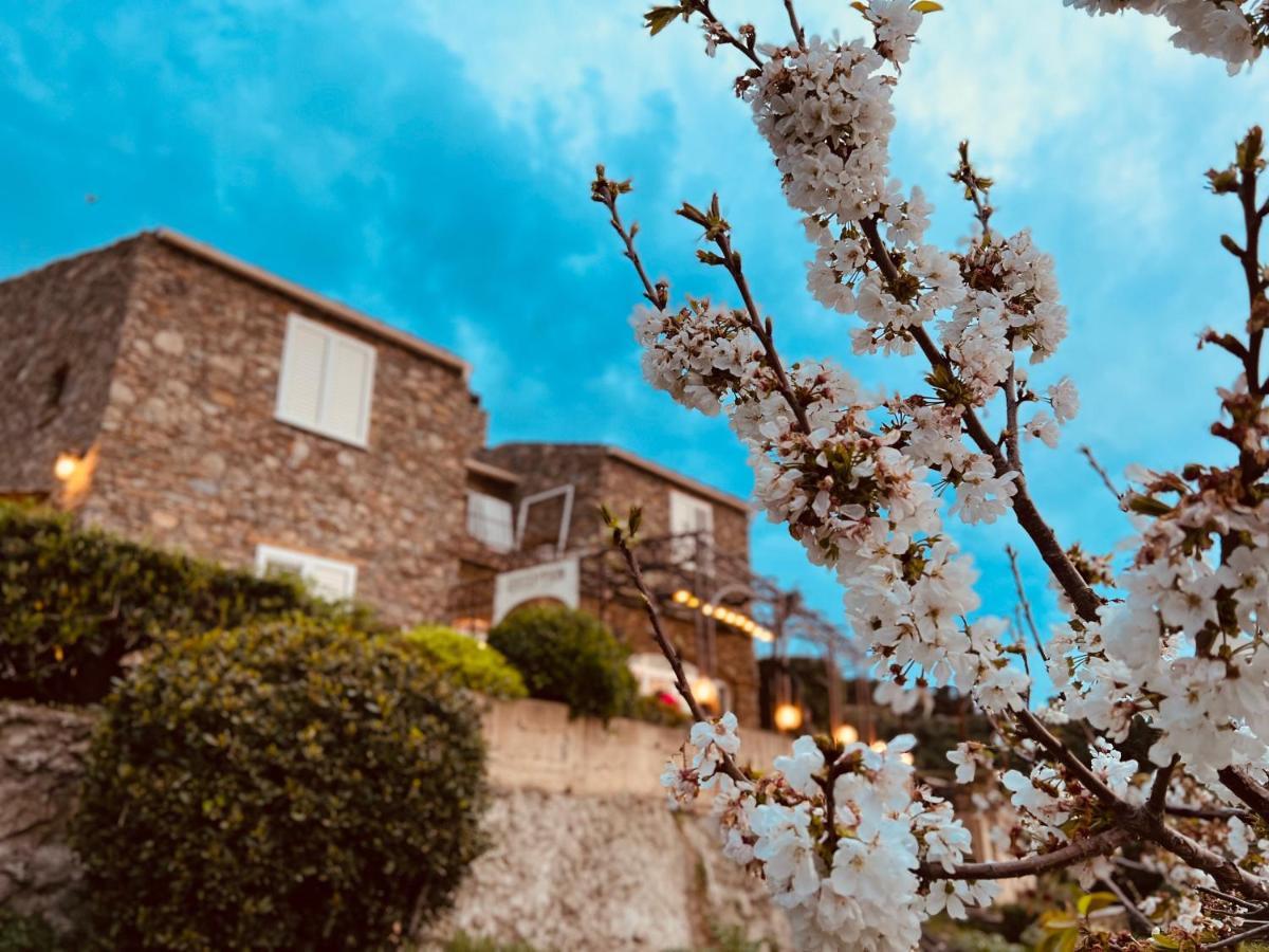 Bed and Breakfast Casa di Babbo Macinaggio  Esterno foto