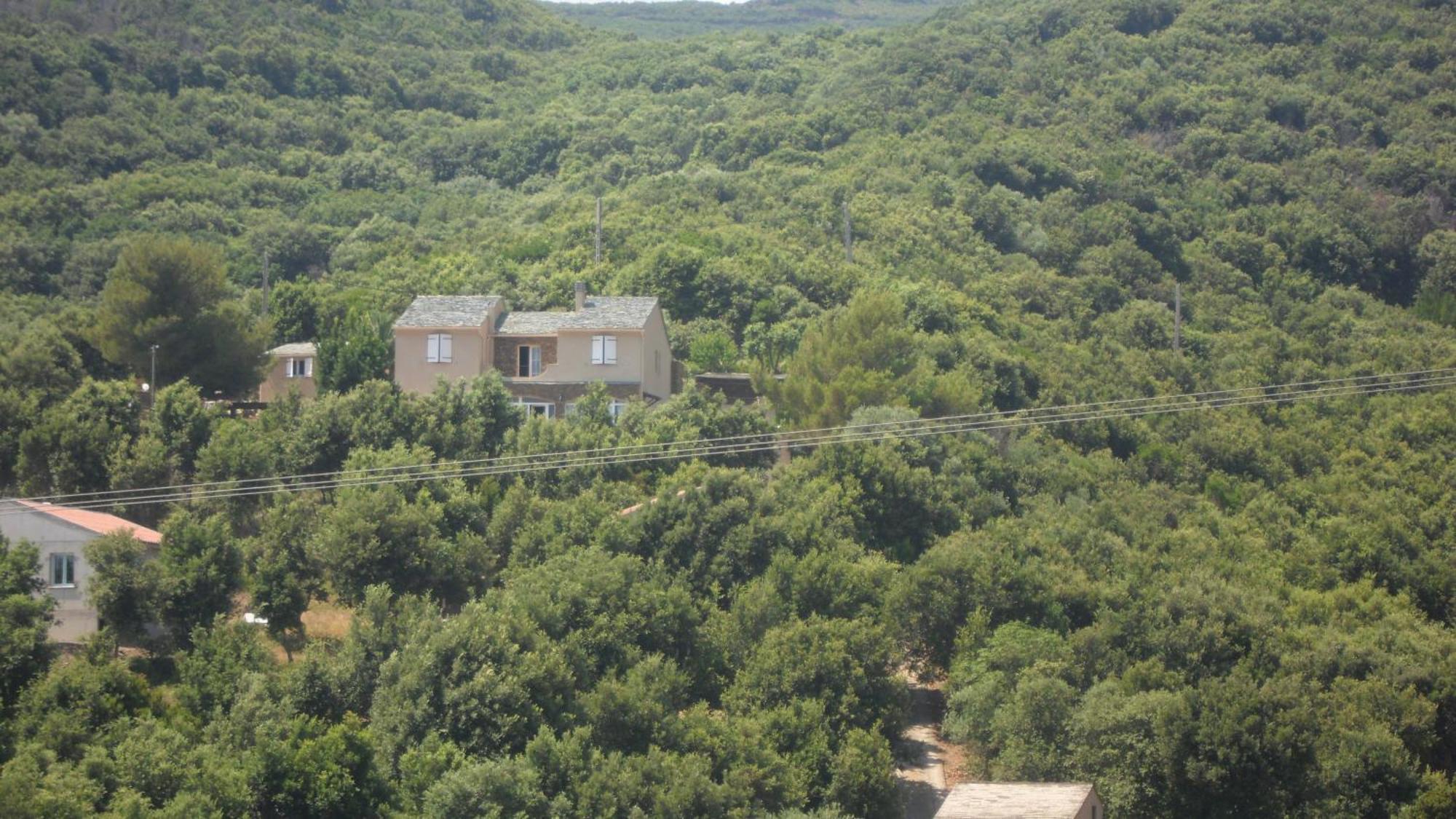 Bed and Breakfast Casa di Babbo Macinaggio  Esterno foto
