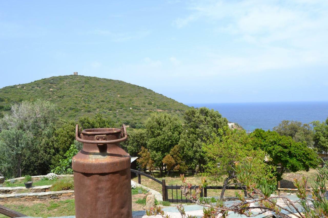 Bed and Breakfast Casa di Babbo Macinaggio  Esterno foto