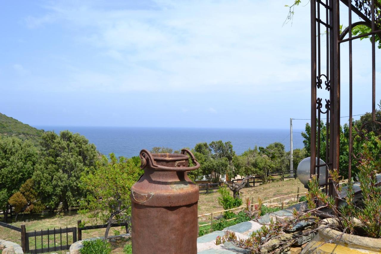 Bed and Breakfast Casa di Babbo Macinaggio  Esterno foto