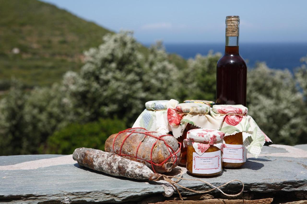 Bed and Breakfast Casa di Babbo Macinaggio  Esterno foto